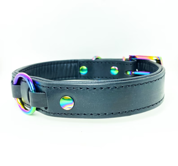 All black leather collar with Iridescent hardware - Image 2
