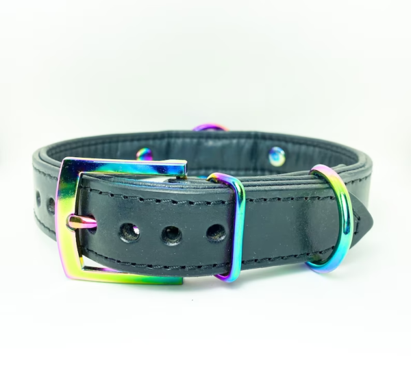 All black leather collar with Iridescent hardware - Image 3